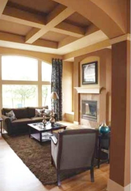 Transitional home design photo in Chicago