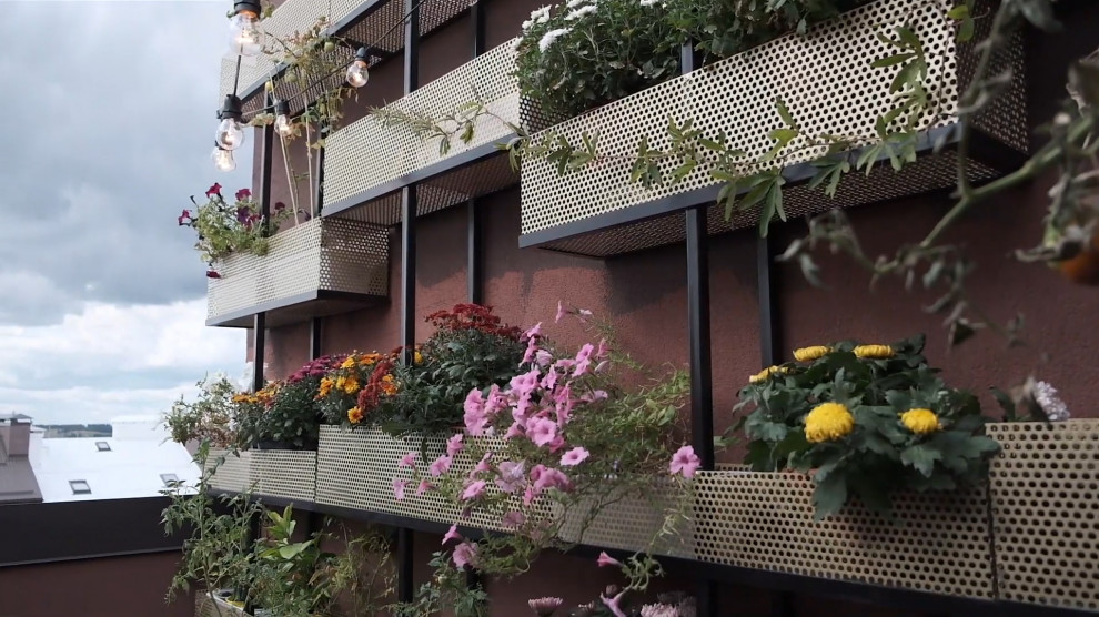 Kleiner, Gefliester, Unbedeckter Moderner Patio im Innenhof mit Pflanzwand in Barcelona