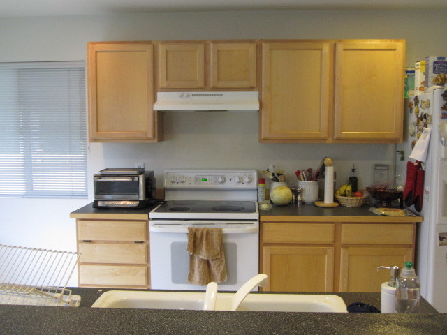 Need Help with Kitchen Design