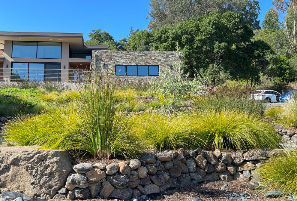 Contemporary Aptos Custom Home