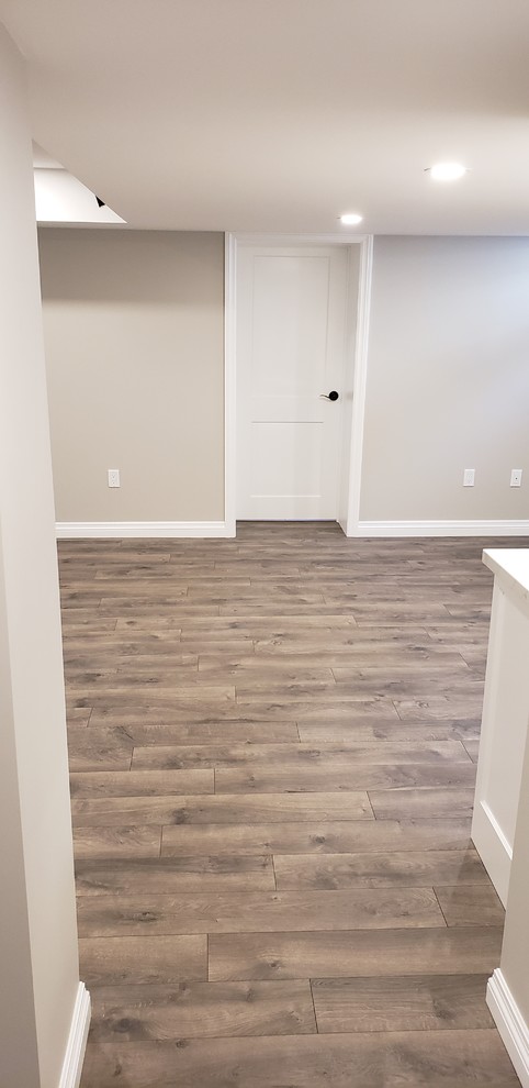 Basement - transitional basement idea