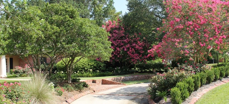 Photo of a mid-sized contemporary front yard full sun formal garden in New Orleans with a water feature and mulch.