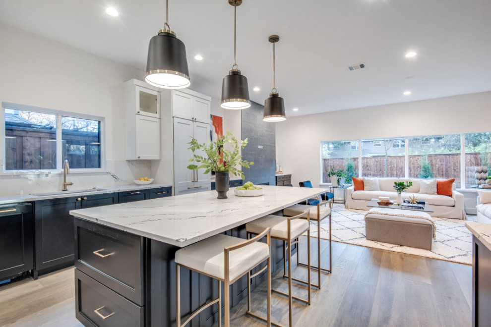 Example of a transitional home design design in Dallas