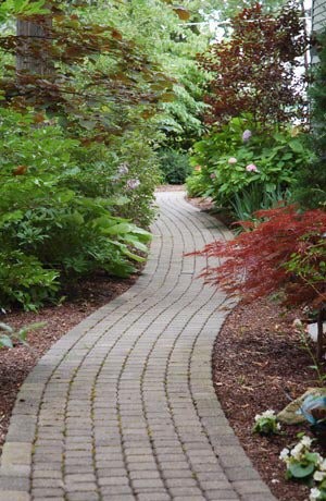 Design ideas for a transitional landscaping in Chicago.