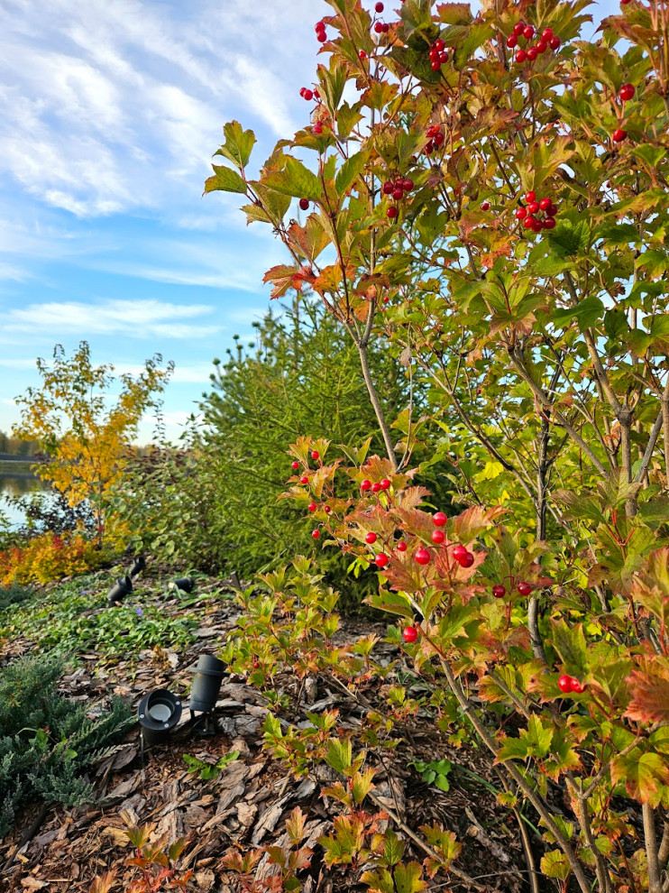 Готовые объекты