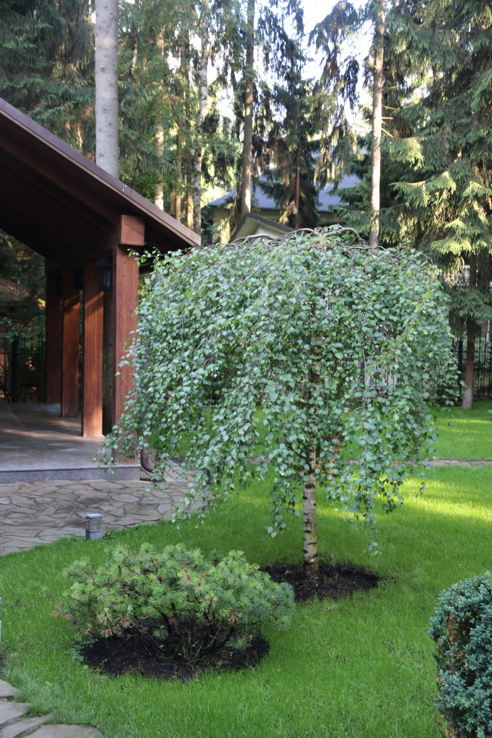 Коттеджный поселок. Руза