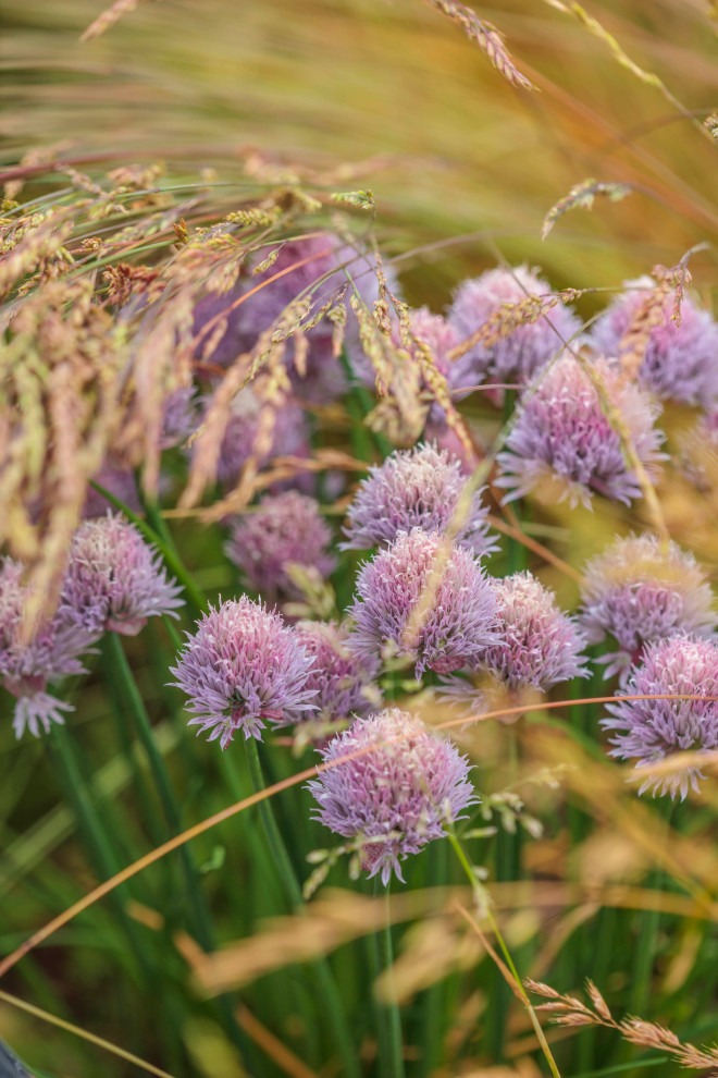 The Lodge, Fulham Cemetery (Grand Designs) Contemporary Deck