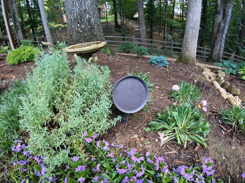Outdoor Audio (Sonance SLS System & Garden Series)
