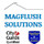 Magflush Solutions