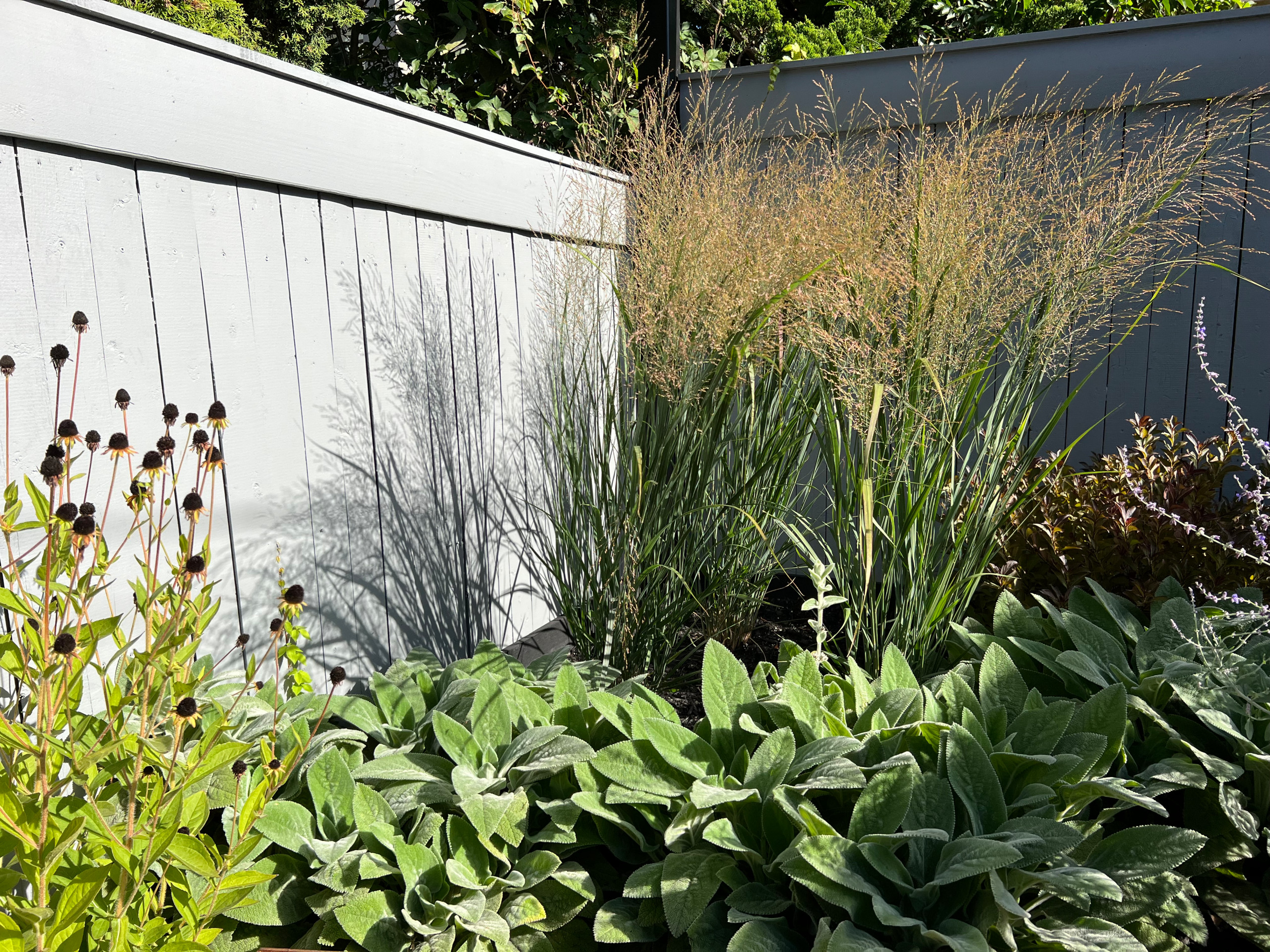 Paved patio with metal grating garden