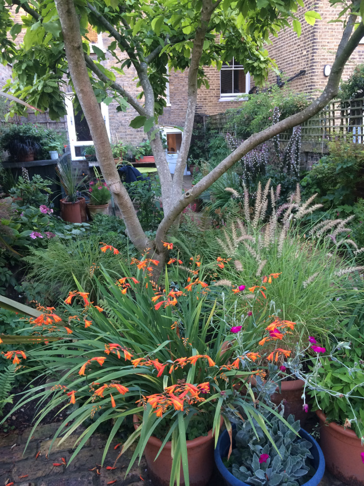 Kleiner, Schattiger Klassischer Garten im Sommer, hinter dem Haus mit Pflastersteinen und Blumenbeet in London