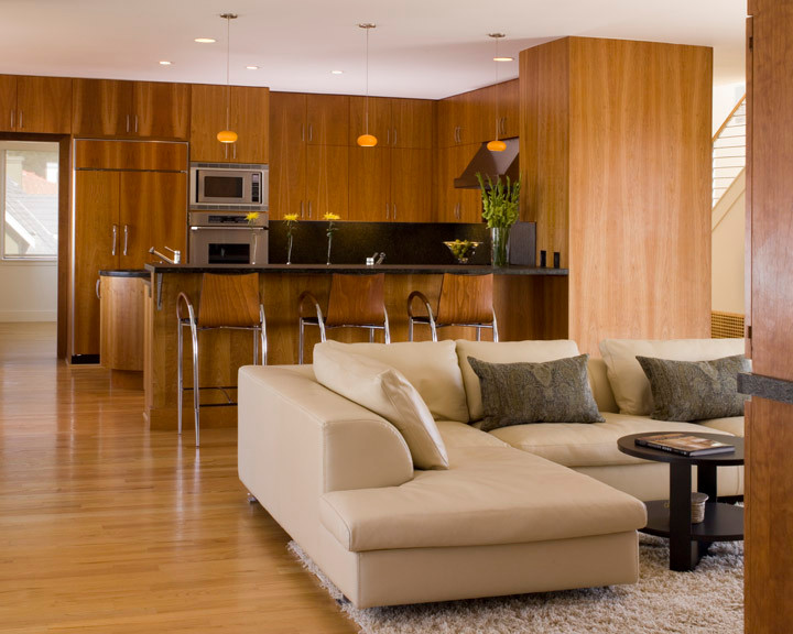 Design ideas for a modern family room in San Francisco.