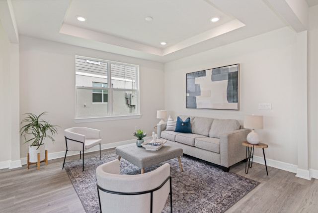 Lakeview Preserve contemporary-living-room