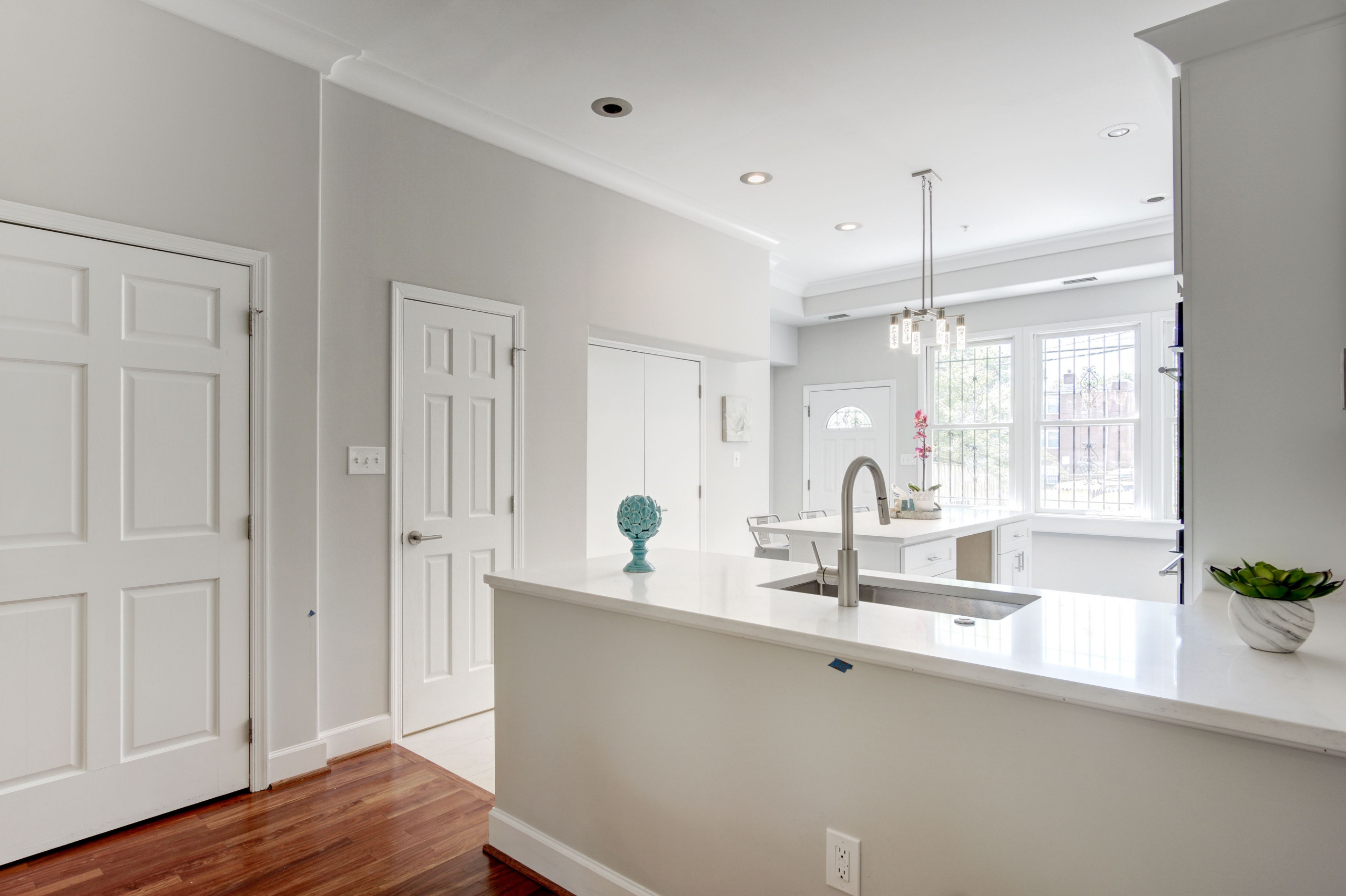 Washington DC Remodel