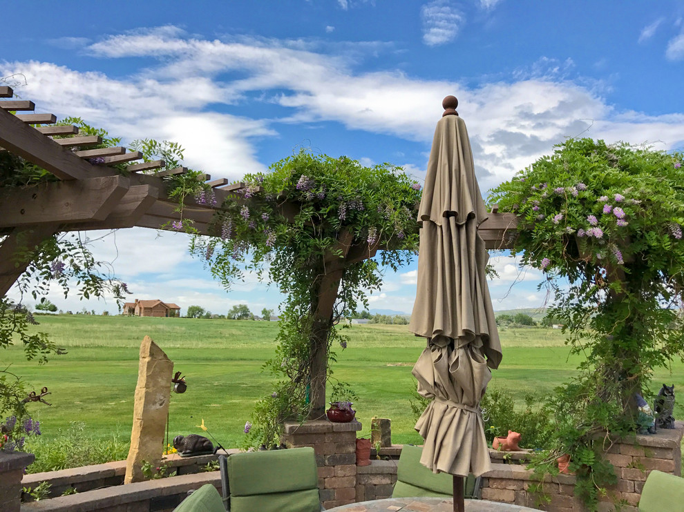 This is an example of a transitional landscaping in Denver.