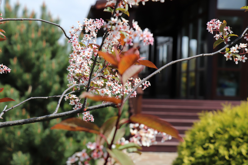 Весна 2020 Сосновые берега