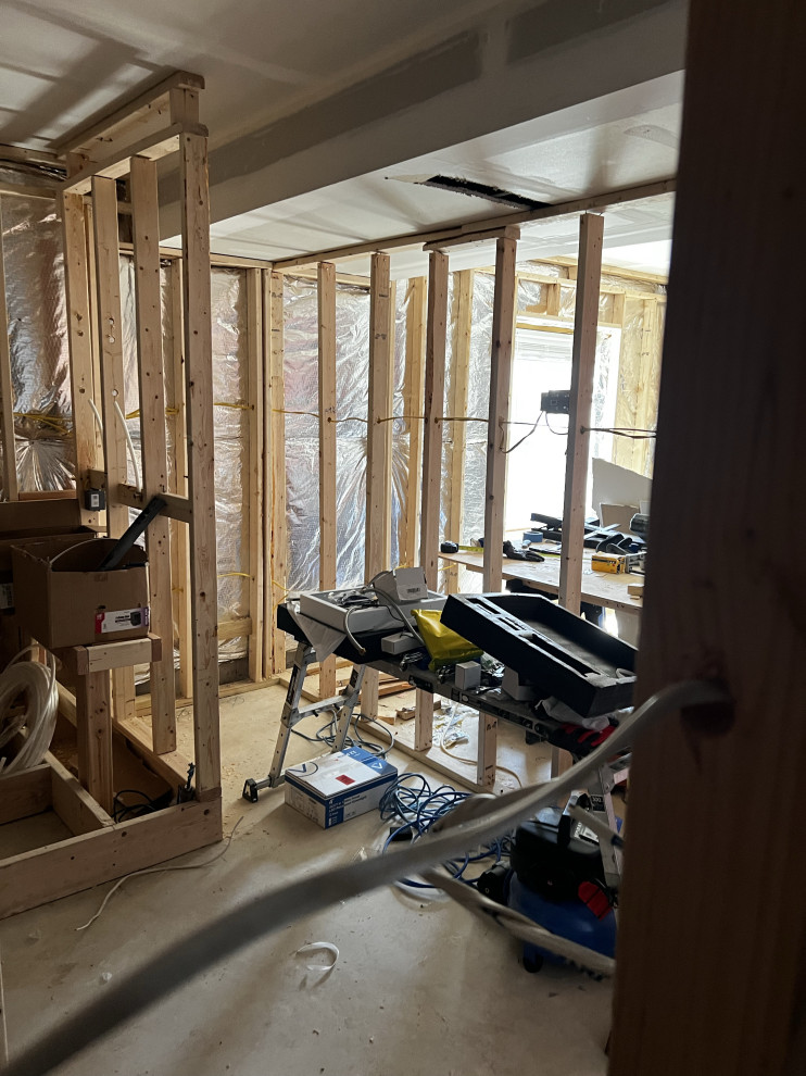 Basement Remodel