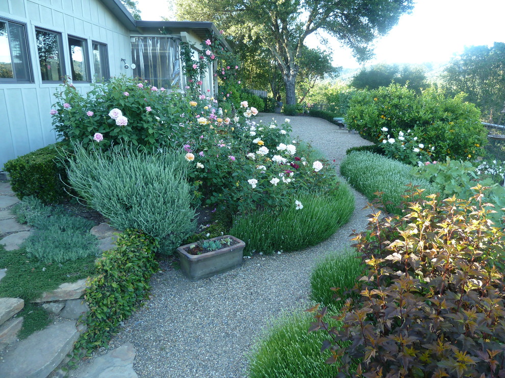 Photo of a mid-sized mediterranean backyard full sun formal garden in San Francisco with a garden path and gravel.