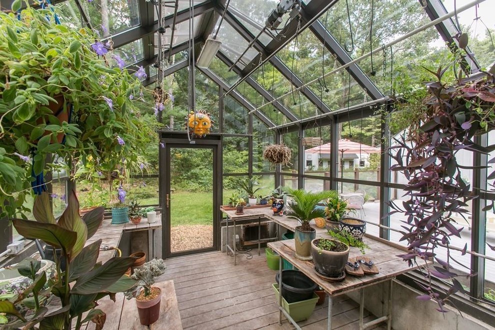 Mid-sized traditional sunroom in Boston.