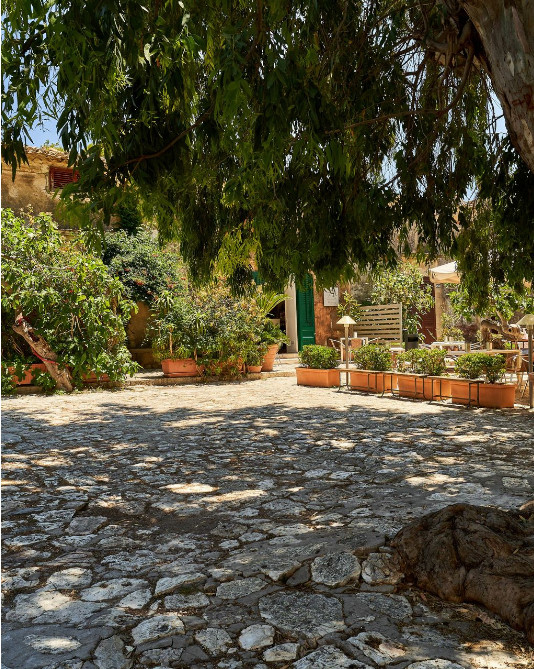 garden