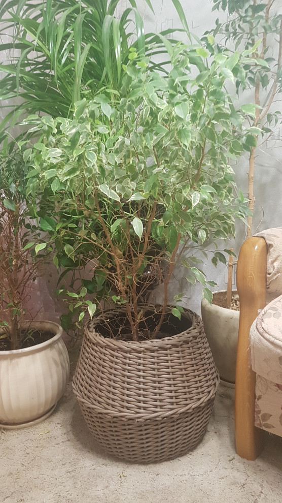 Корзина-кашпо 24л