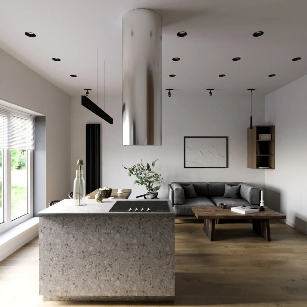 Кухня-гостиная 25 кв.м.