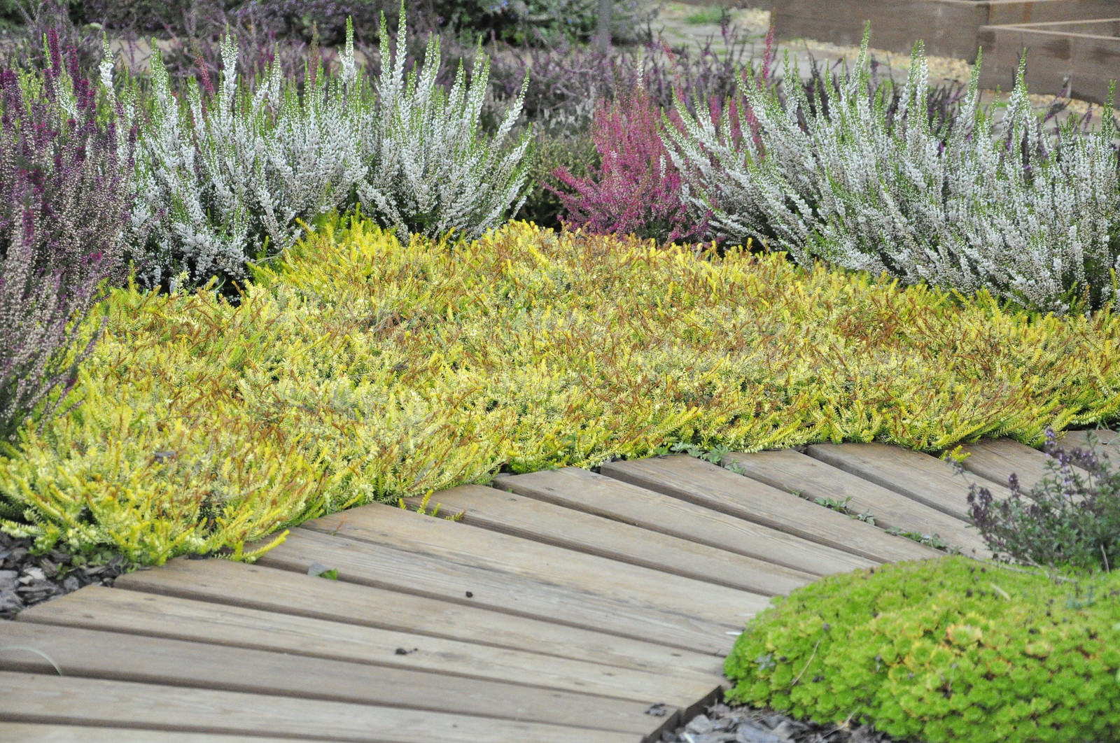 д. Коровино - Уход за садом - 100% качество