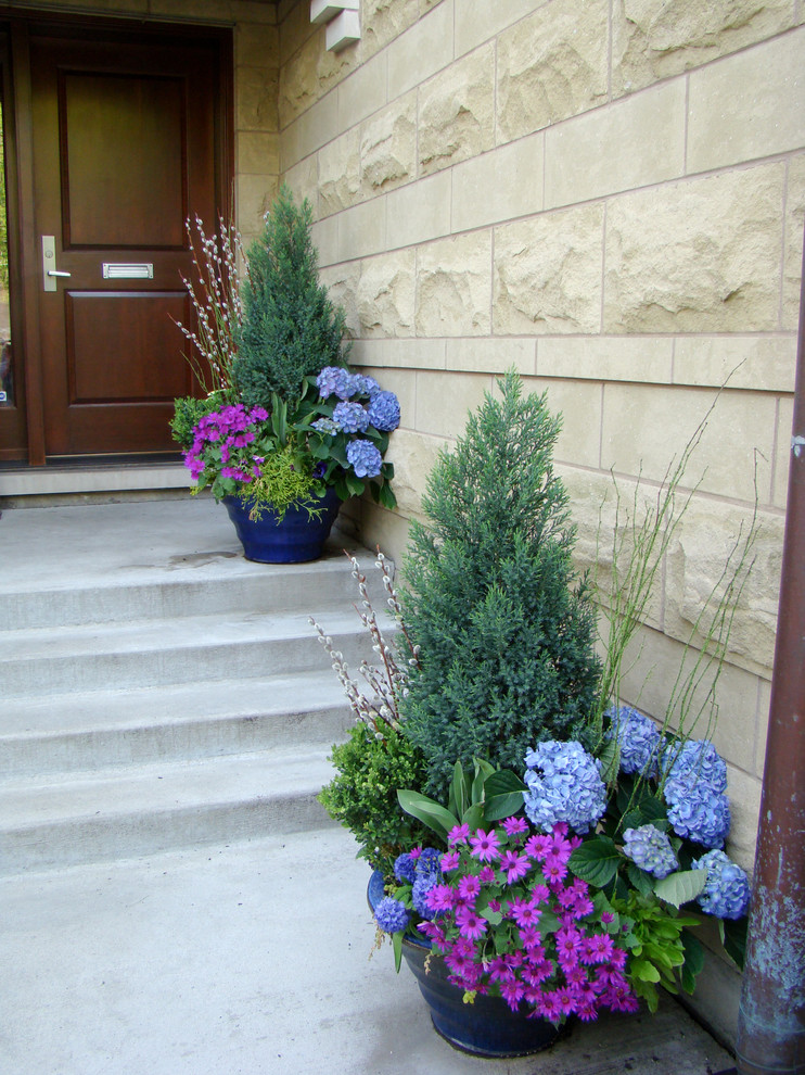 This is an example of a small transitional landscaping in Chicago.