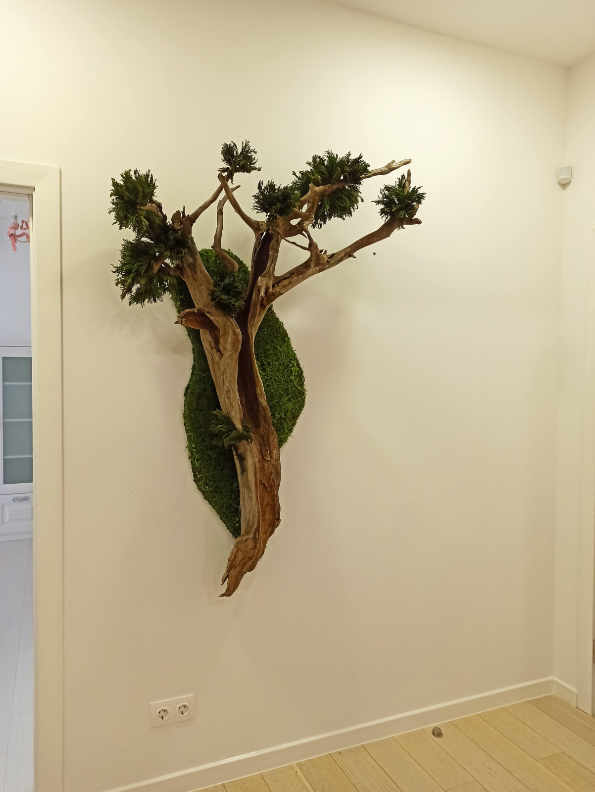 Фигурный бонсай для частного дома