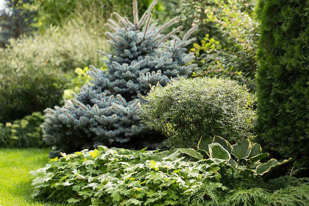 Фотосъёмка сада (к/п Светлогорье)