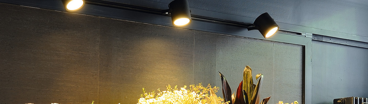 Slv Lighting Direct Surbiton Surrey Uk Kt6 6rh