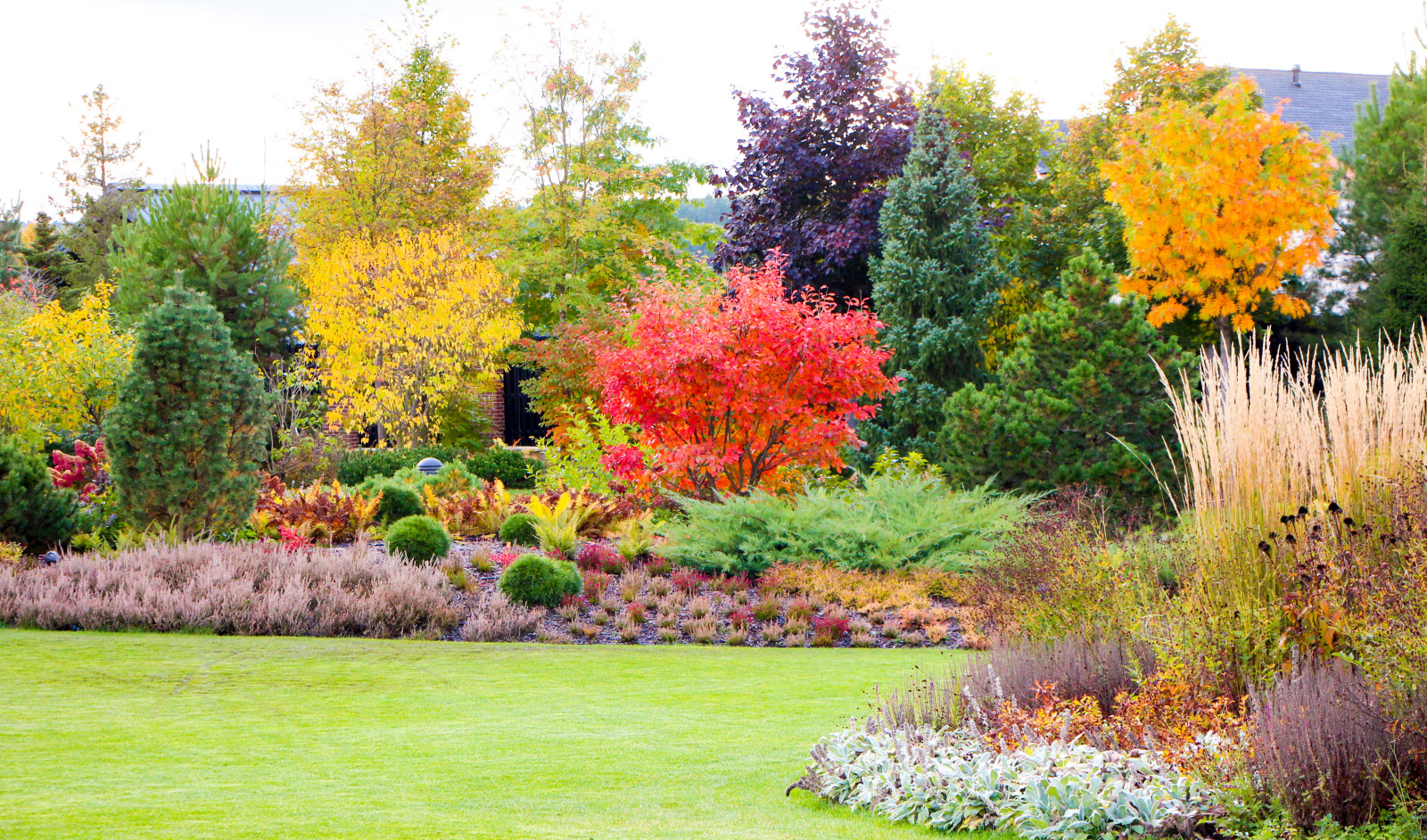 Горки-10, 2017-2020 г.г.