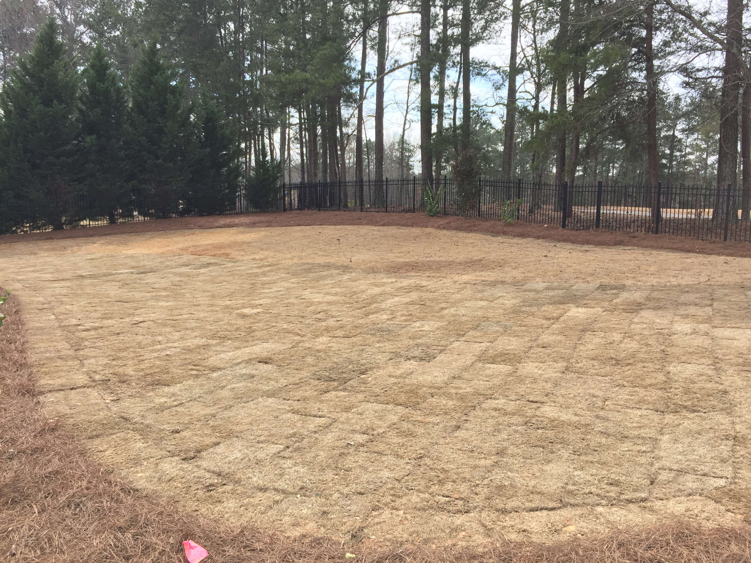Alpharetta Yard Enhancements