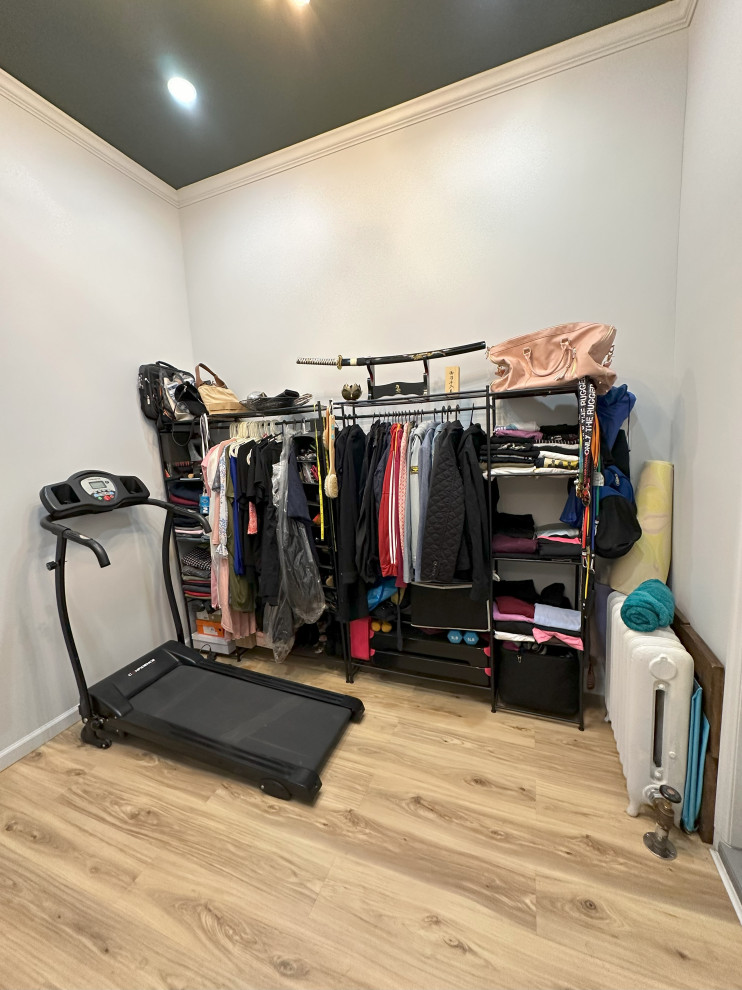 Primary Bedroom and Walk-in Closet Renovation