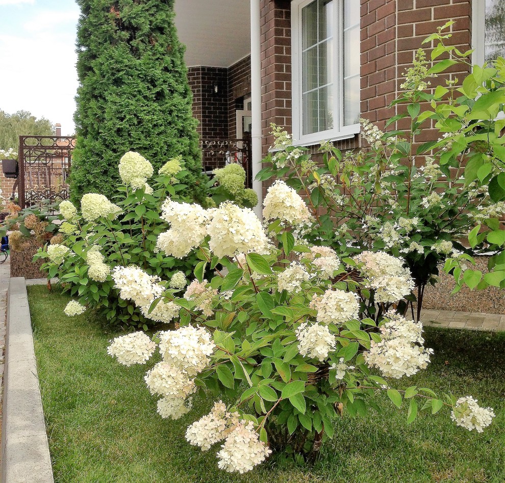 Вавиловец 1