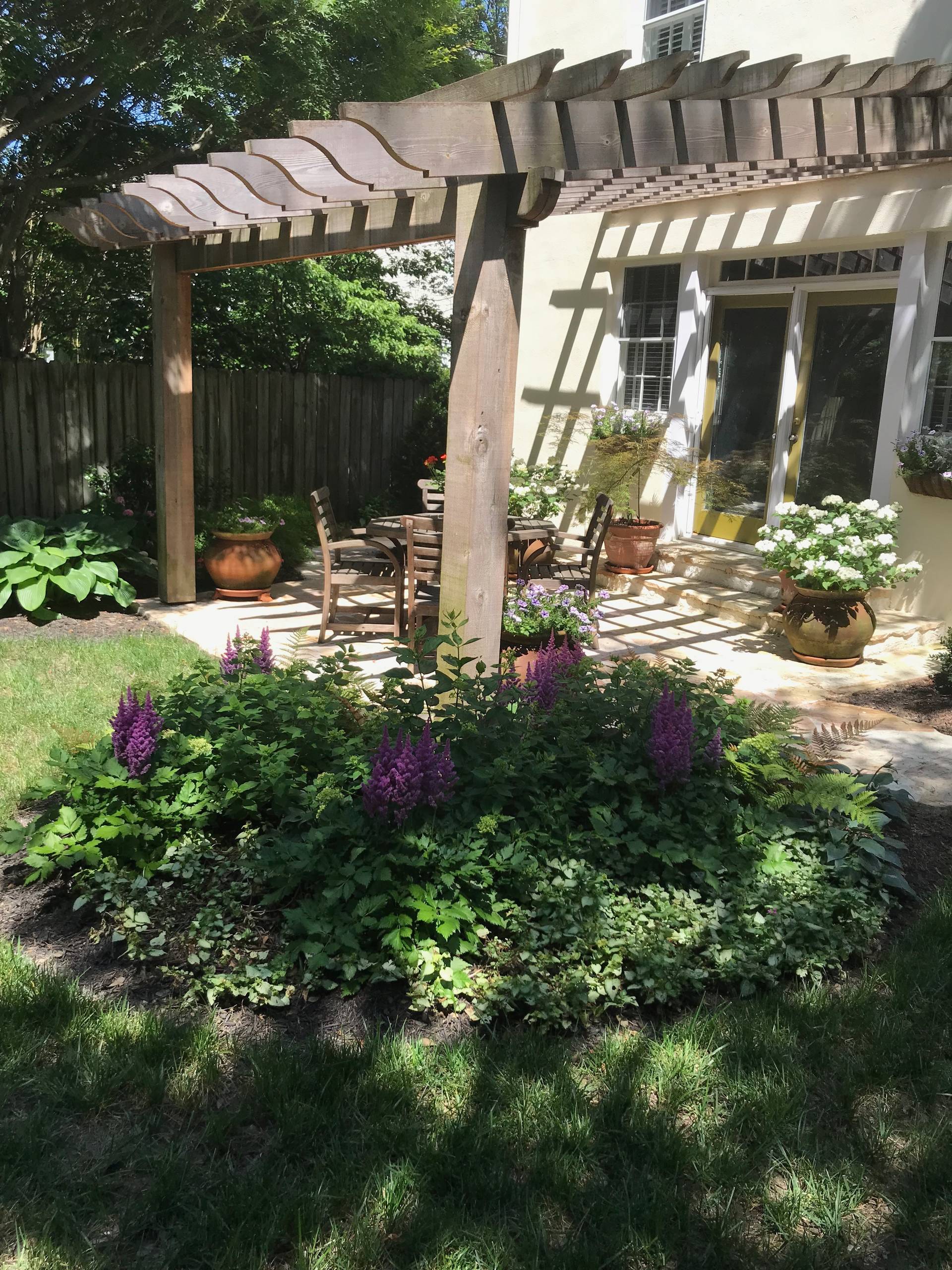 Shade Perennials