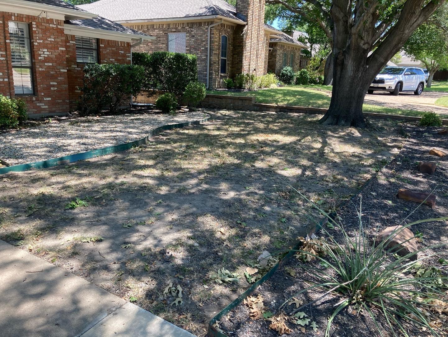 Front Lawn Sod