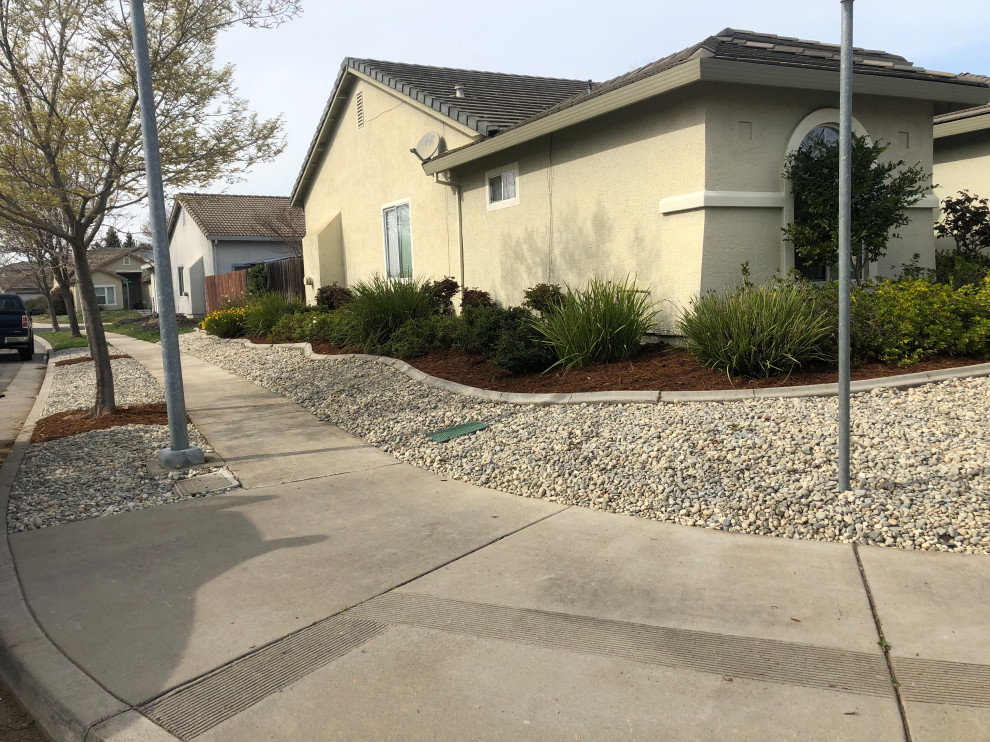 Large traditional front yard partial sun xeriscape with with rock feature and river rock.