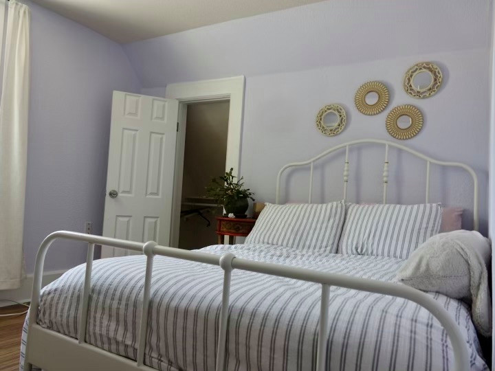 Emergency Mold Mitigation Rainbow House Repaint