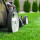 JM Lawn Care