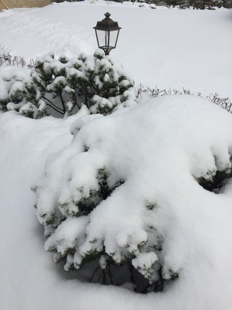 Зимние объекты