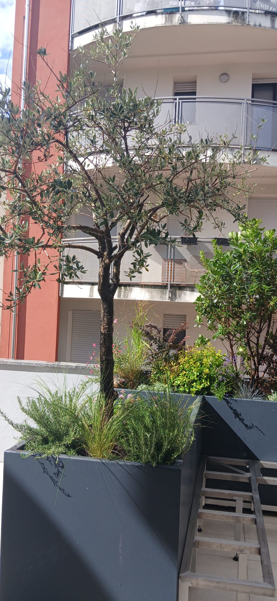 Realizzazione Terrazza dai sapori mediterranei