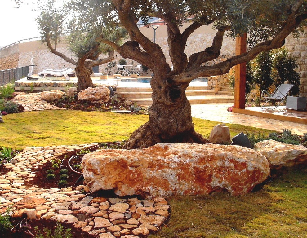 This is an example of a mediterranean garden in Tel Aviv.