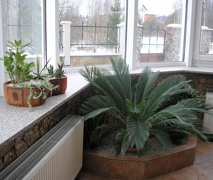 Озеленение интерьера