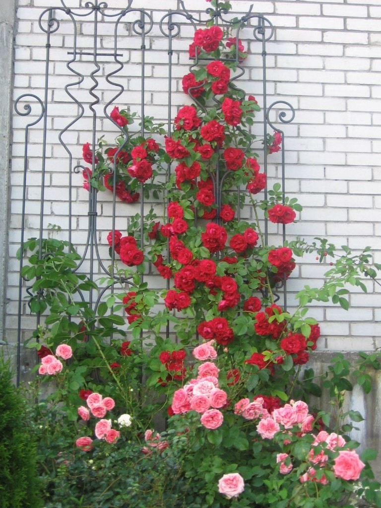 Участок в Парголово