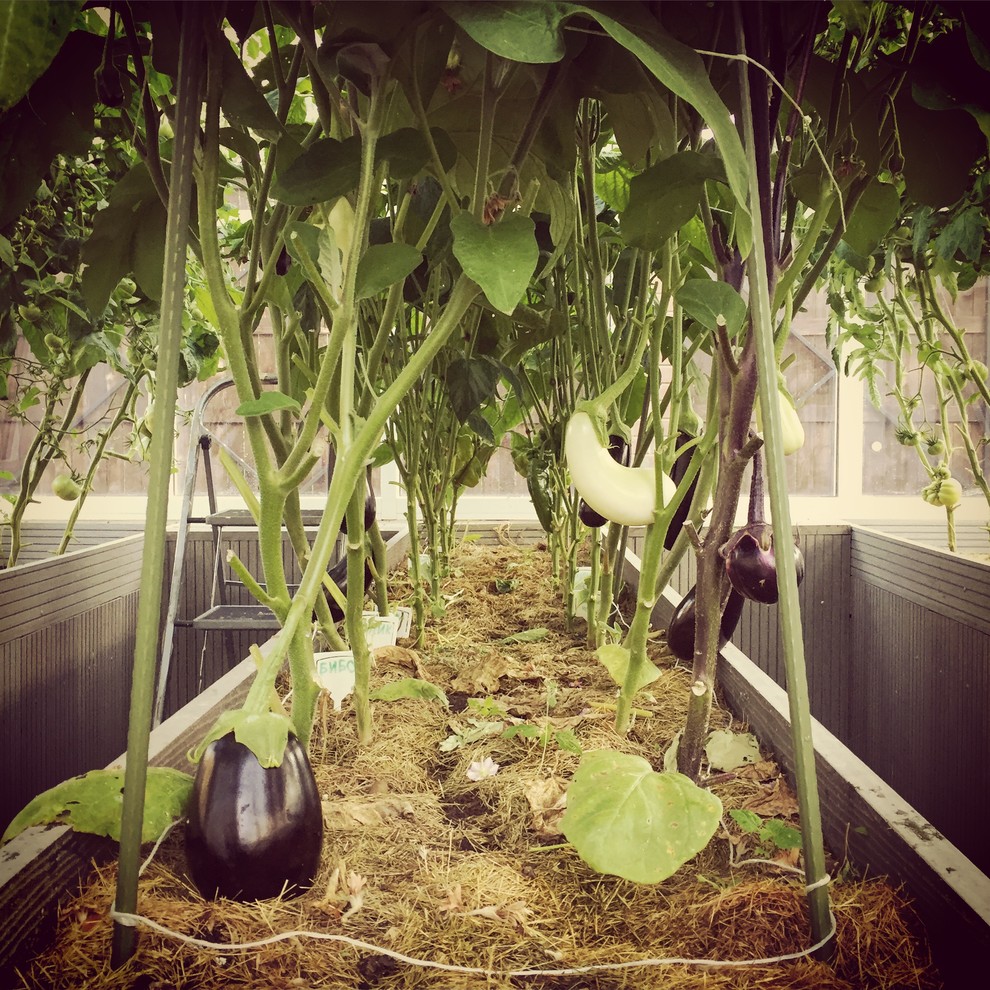 частный дом