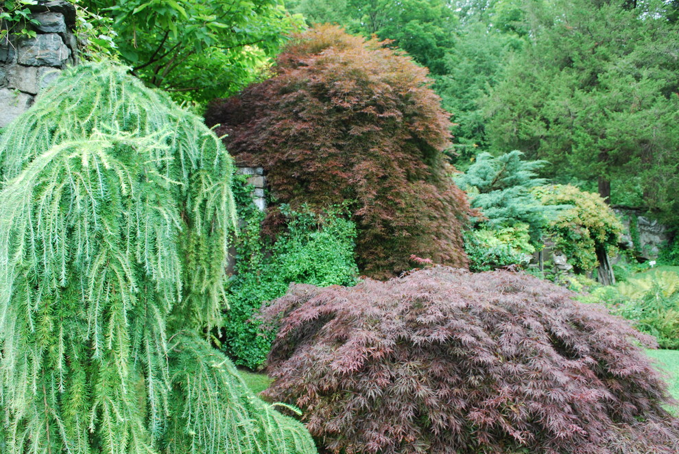 Exempel på en eklektisk trädgård