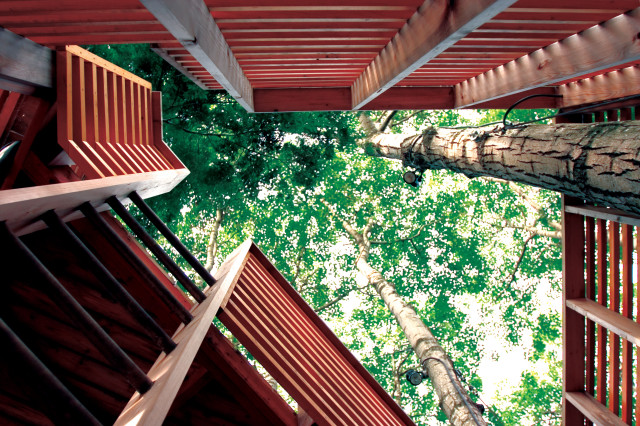 4Treehouse trendy-hus-og-facade