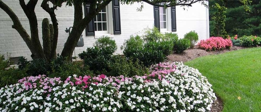 Photo of a mid-sized partial sun side yard landscaping.