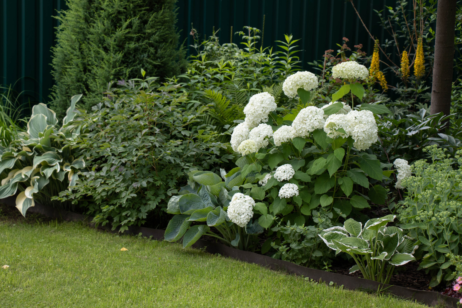 Французский садик в поселке Рыбаки Дмитровское шоссе